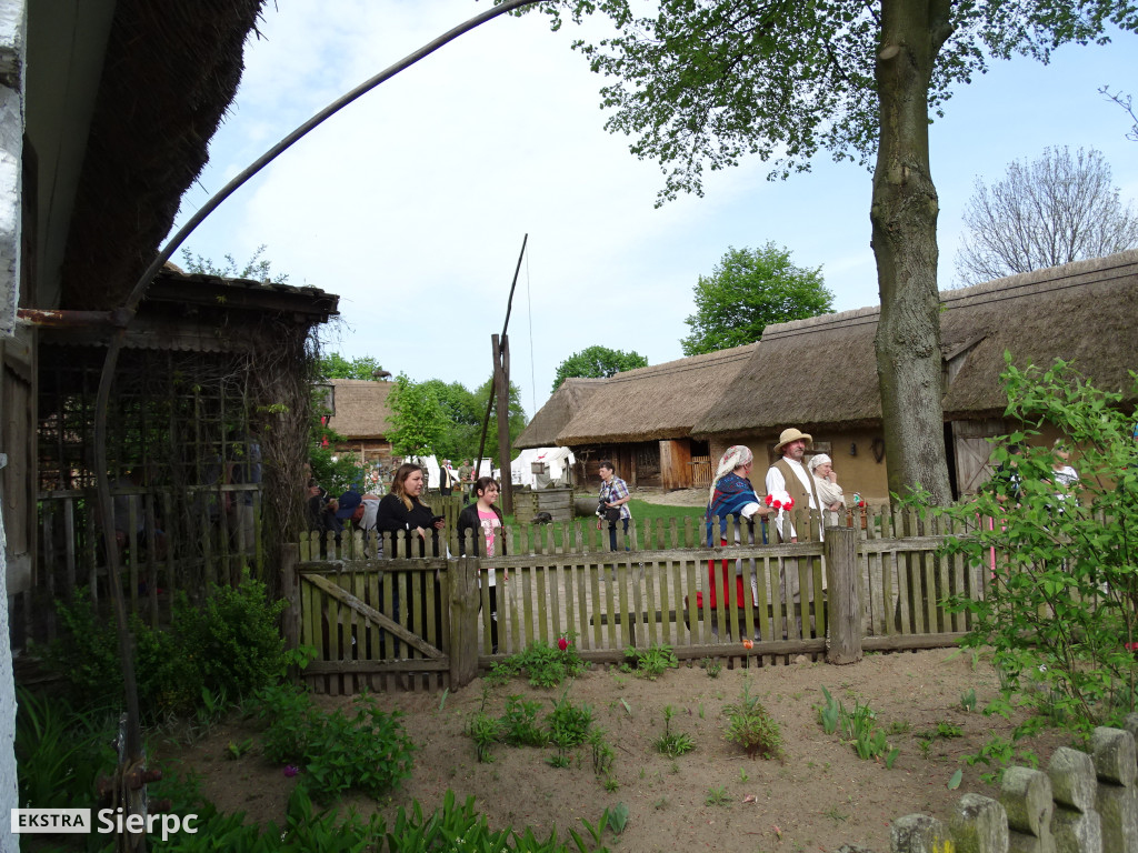 Piłsudski, bolszewicy i polskie wojsko