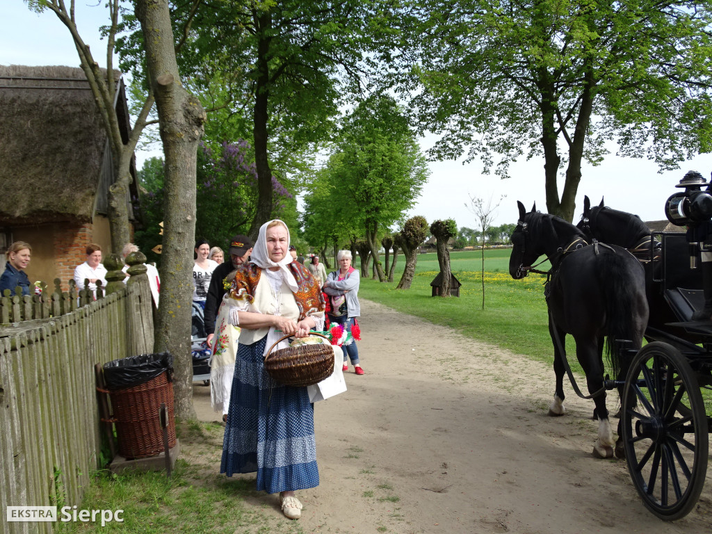 Piłsudski, bolszewicy i polskie wojsko