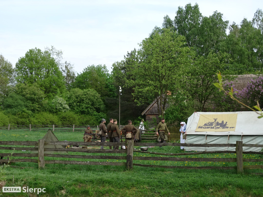 Piłsudski, bolszewicy i polskie wojsko