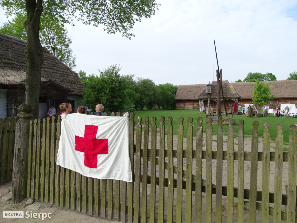 Piłsudski, bolszewicy i polskie wojsko