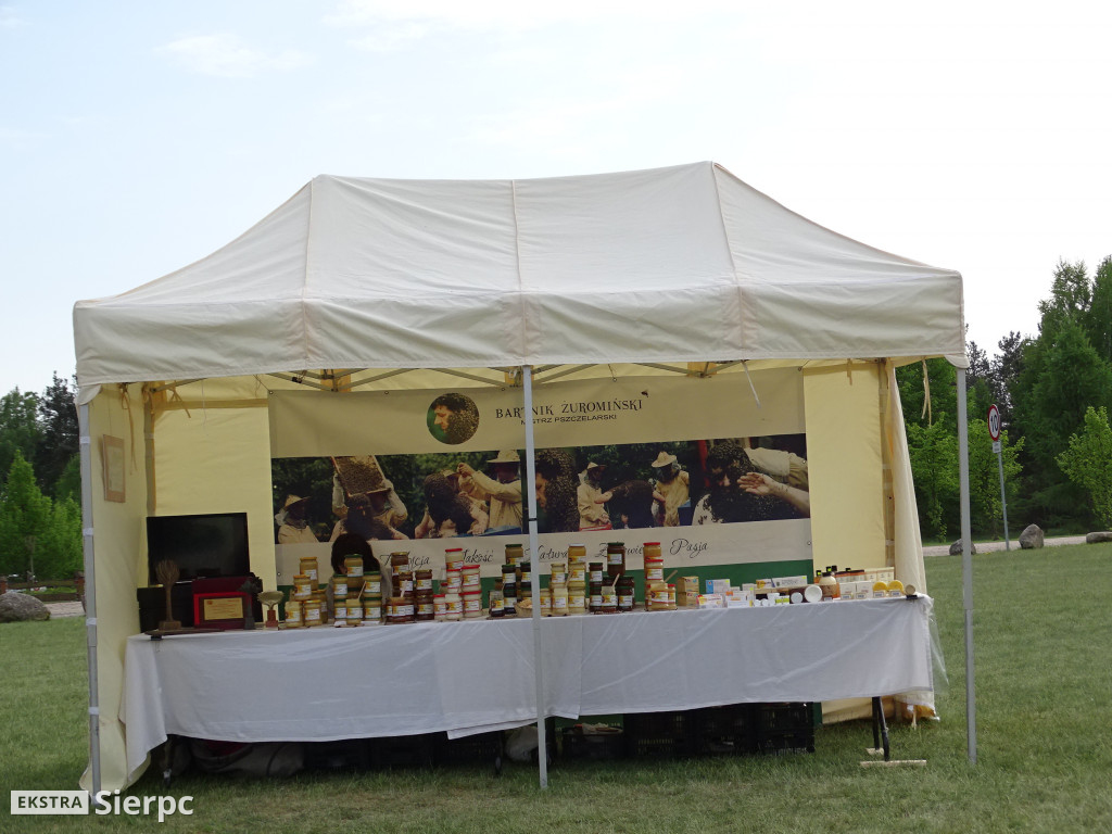 Piłsudski, bolszewicy i polskie wojsko