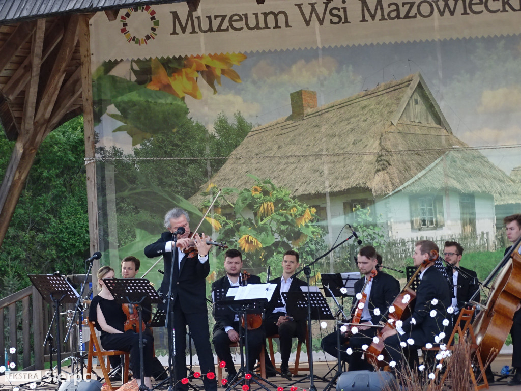 Piłsudski, bolszewicy i polskie wojsko