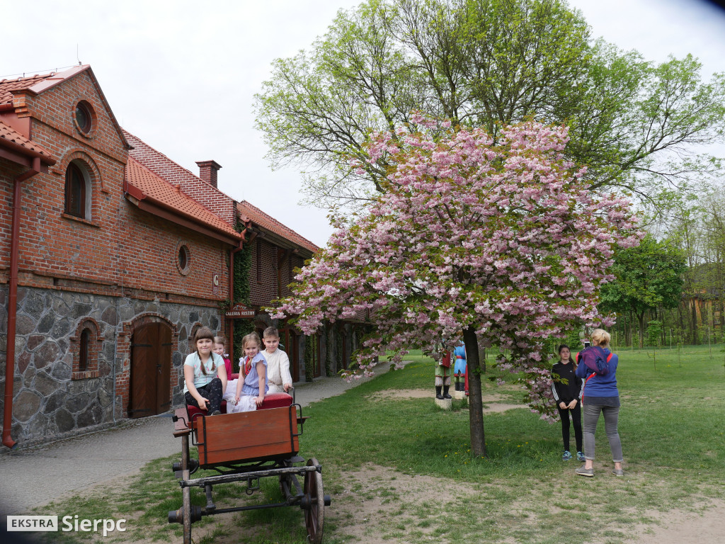 Piłsudski, bolszewicy i polskie wojsko