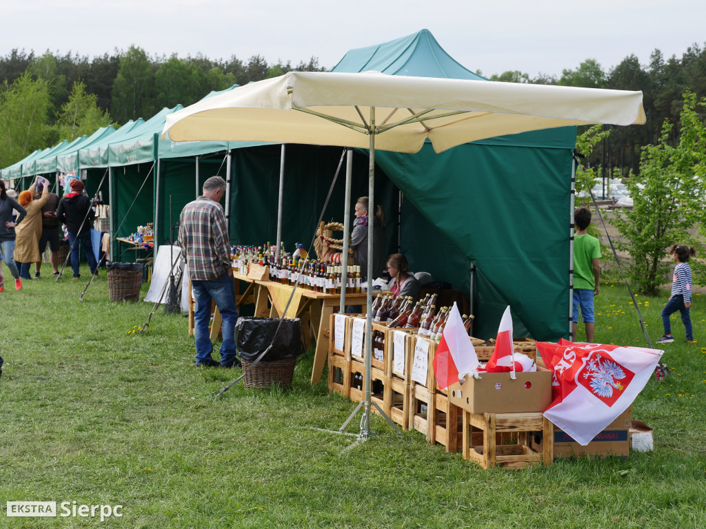 Piłsudski, bolszewicy i polskie wojsko