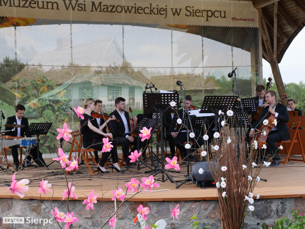 Piłsudski, bolszewicy i polskie wojsko