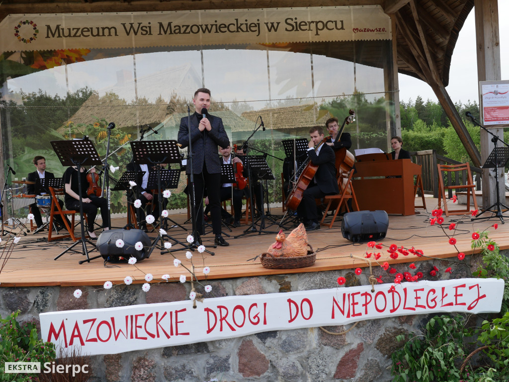 Piłsudski, bolszewicy i polskie wojsko