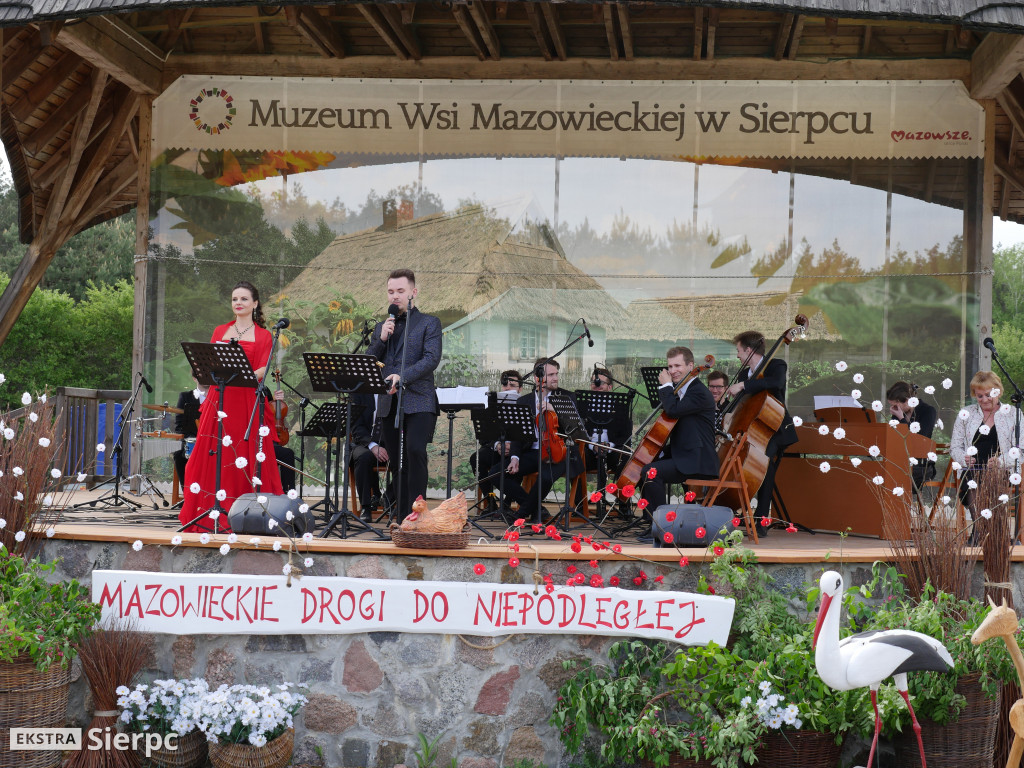 Piłsudski, bolszewicy i polskie wojsko