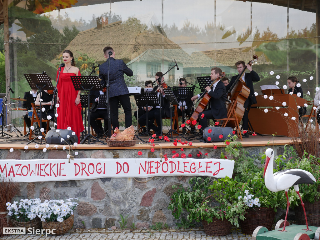 Piłsudski, bolszewicy i polskie wojsko