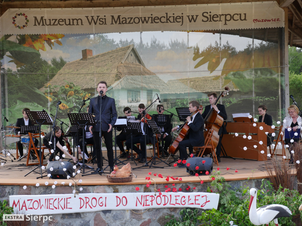 Piłsudski, bolszewicy i polskie wojsko