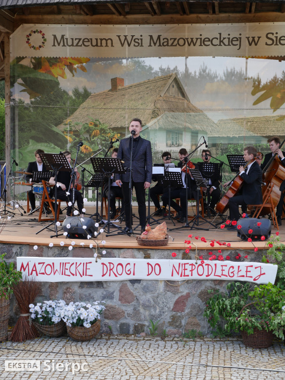 Piłsudski, bolszewicy i polskie wojsko
