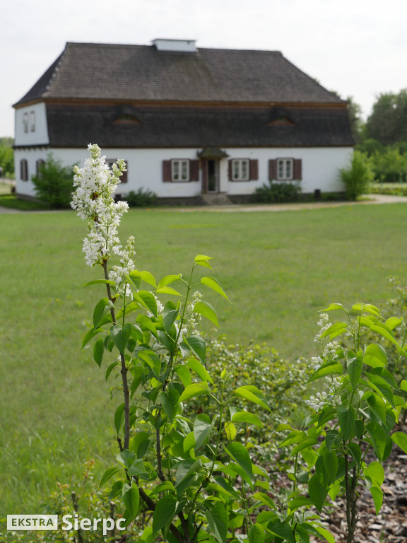 Majówka w sierpeckim skansenie