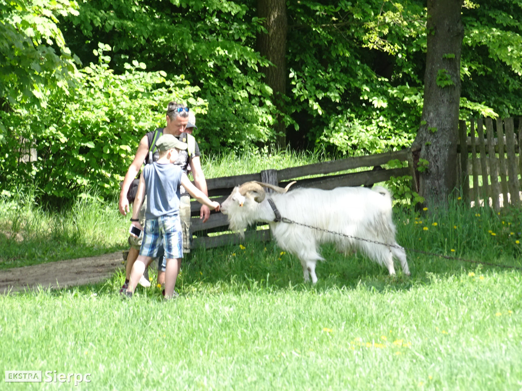 Gotowanie na polanie w skansenie