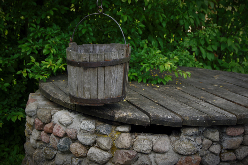 Skansen w detalach