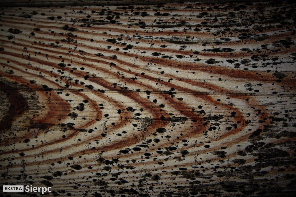 Skansen w detalach