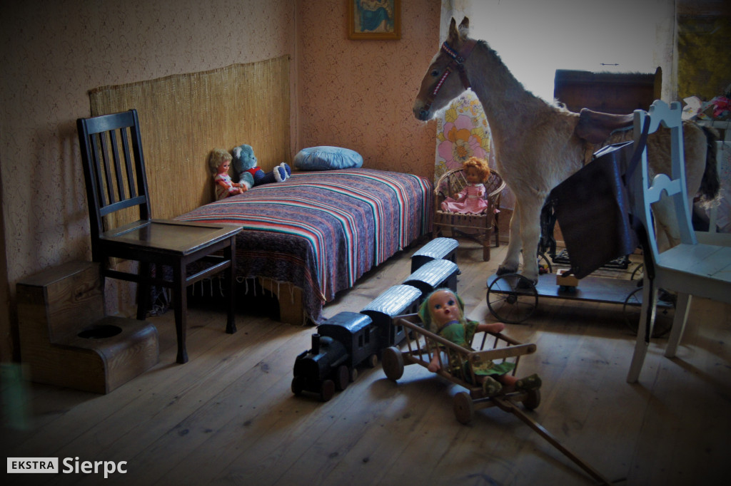 Skansen w detalach