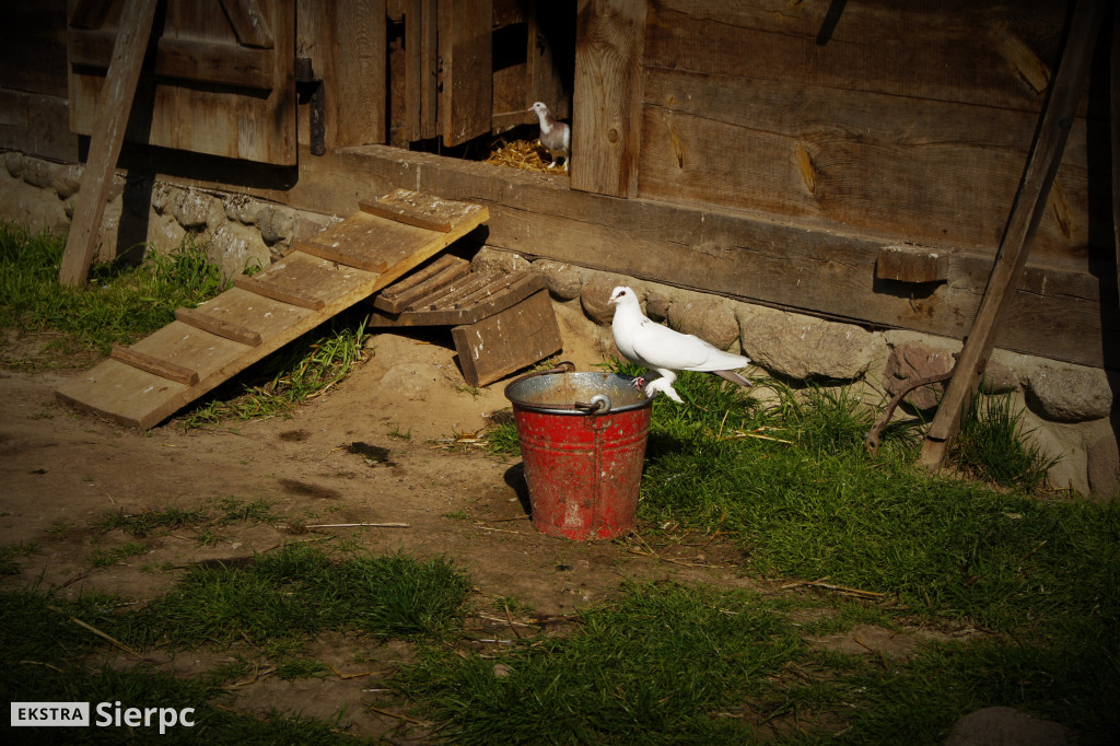 Skansen w detalach