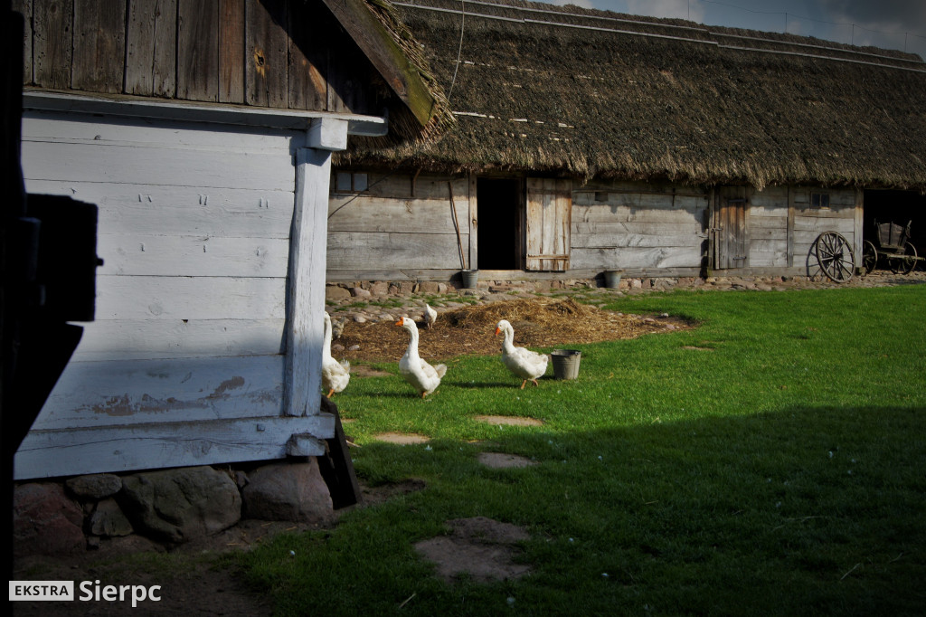 Skansen w detalach