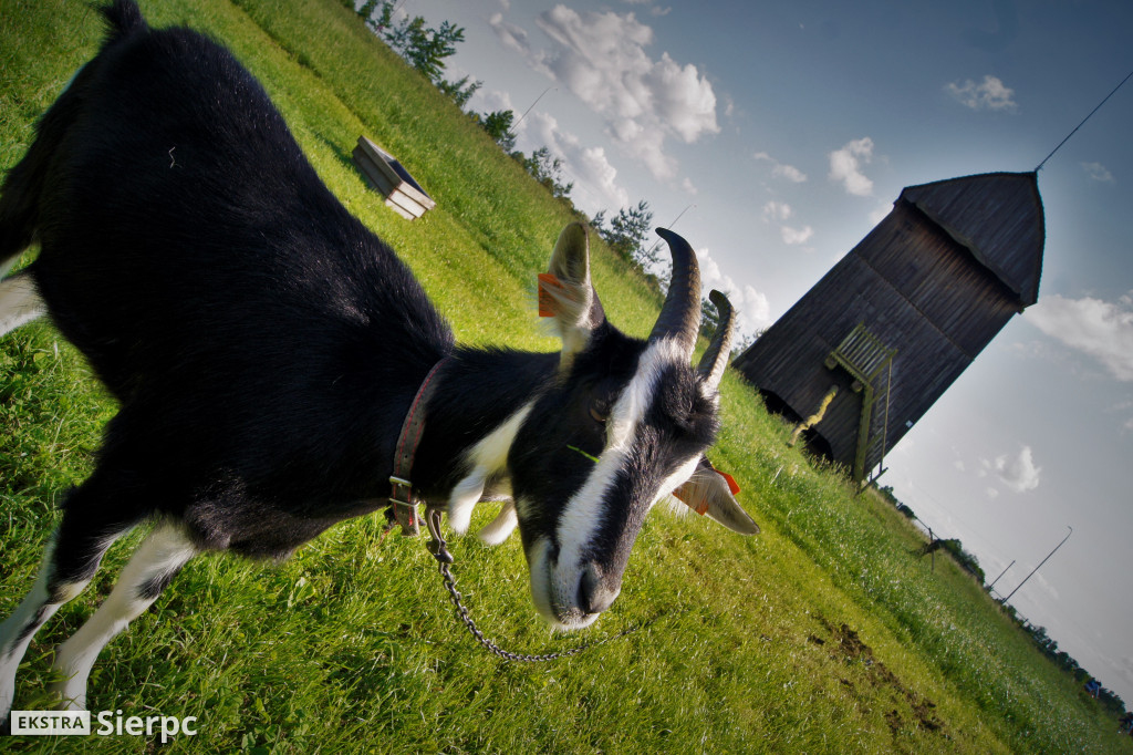 Skansen w detalach