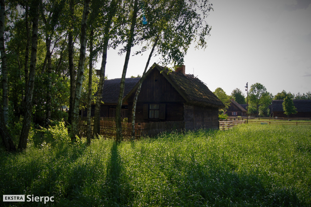 Skansen w detalach