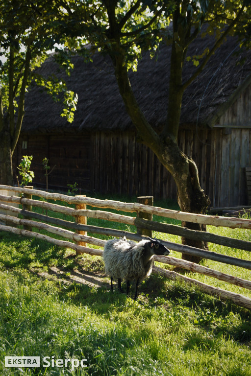 Skansen w detalach