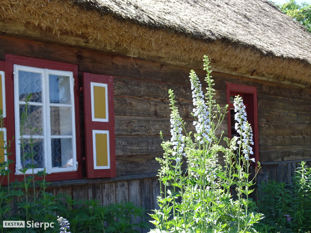 Dzień Dziecka w skansenie