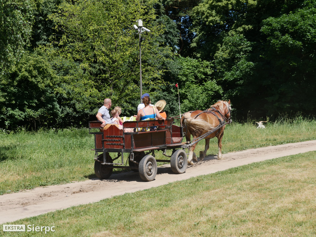 Dzień Dziecka w skansenie