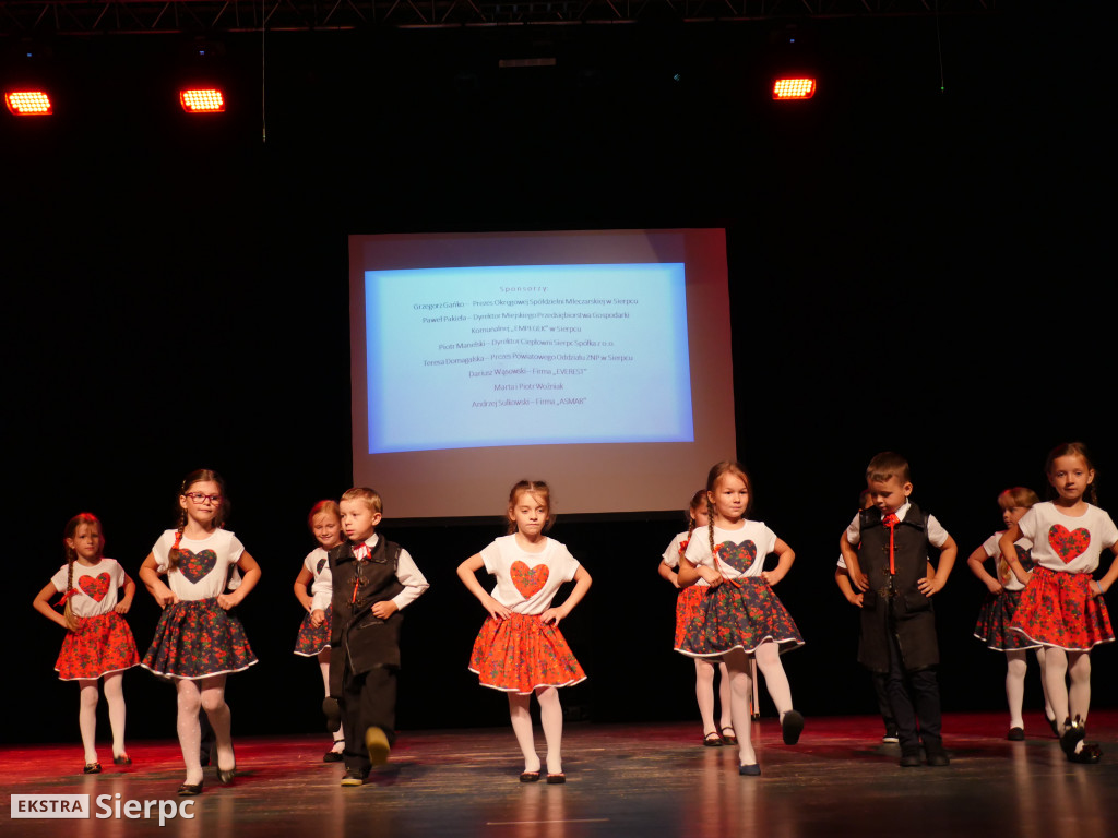 Międzypowiatowy Festiwal 