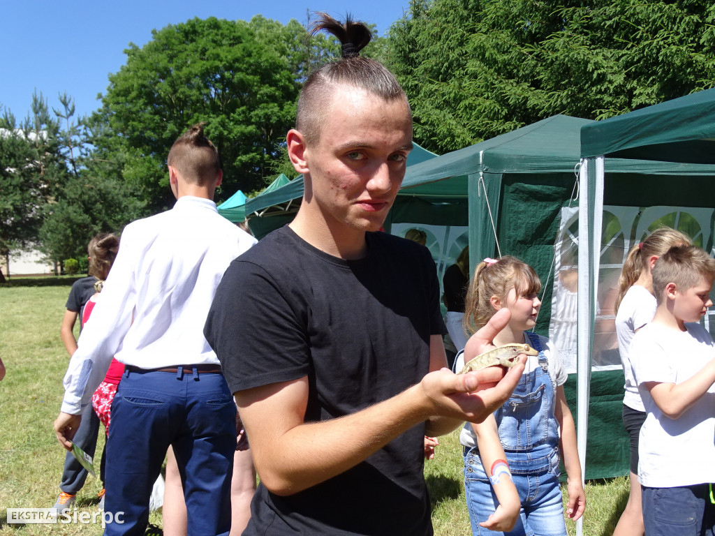 Piknik ekologiczno-sportowy