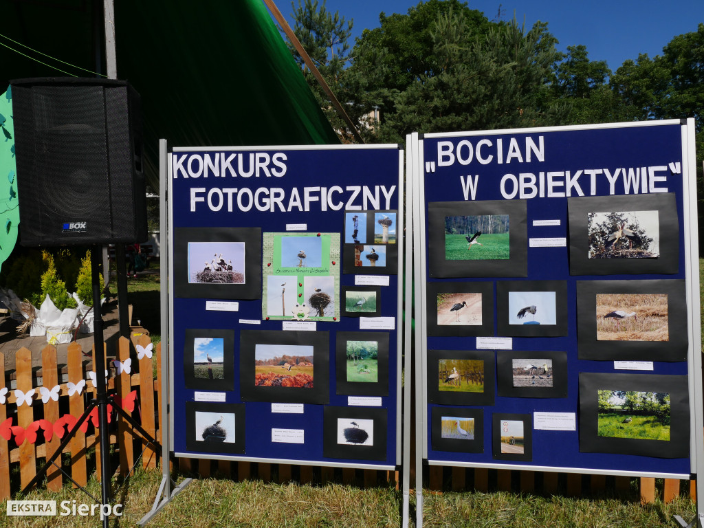 Piknik ekologiczno-sportowy