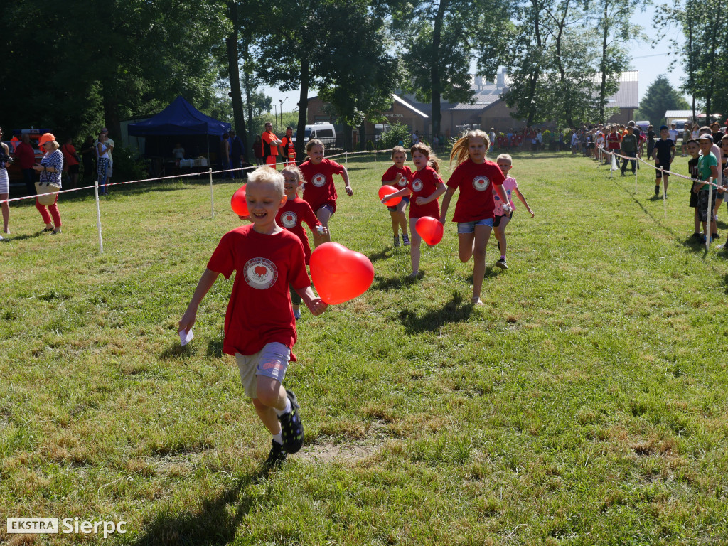 Piknik ekologiczno-sportowy