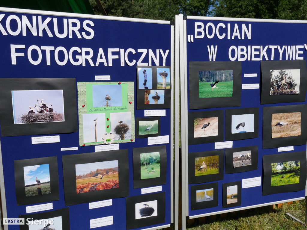 Piknik ekologiczno-sportowy