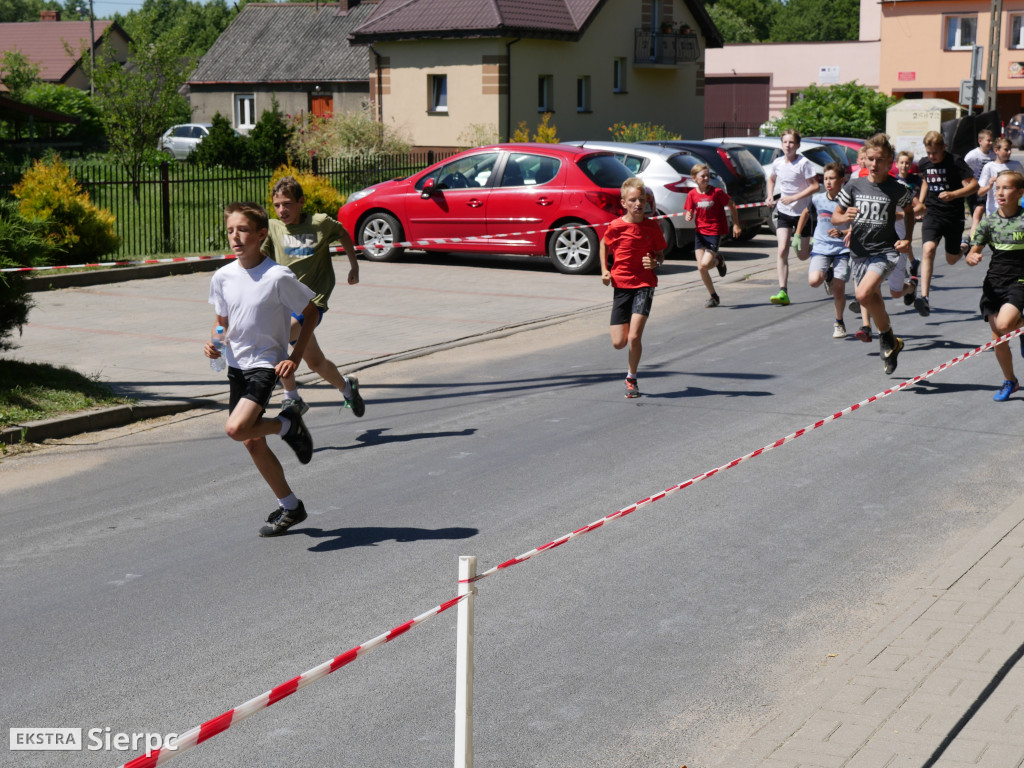 Piknik ekologiczno-sportowy