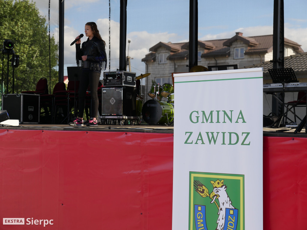 Rodzinny Festyn w Zawidzu