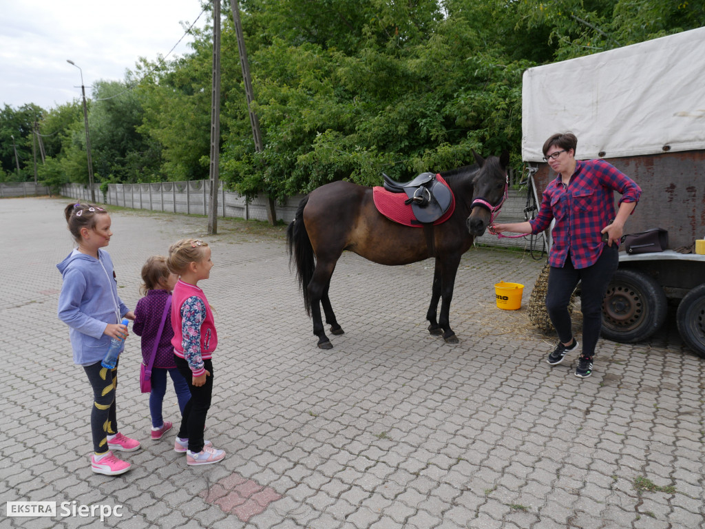 Książkowy pchli targ