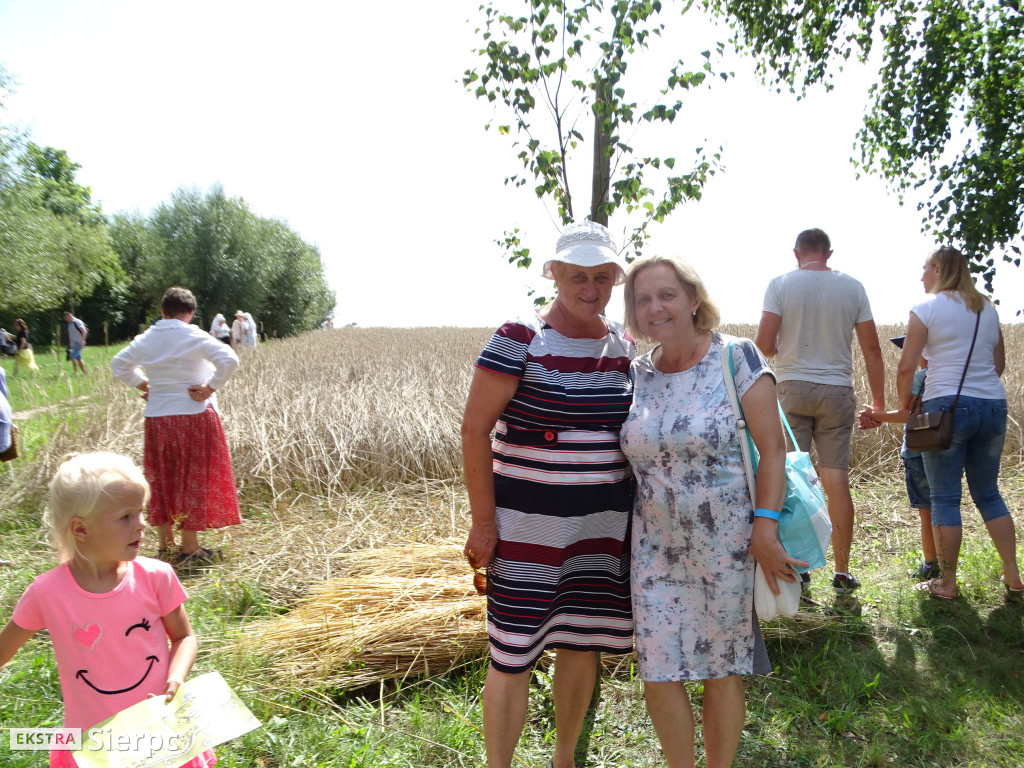 Żniwa w sierpeckim skansenie