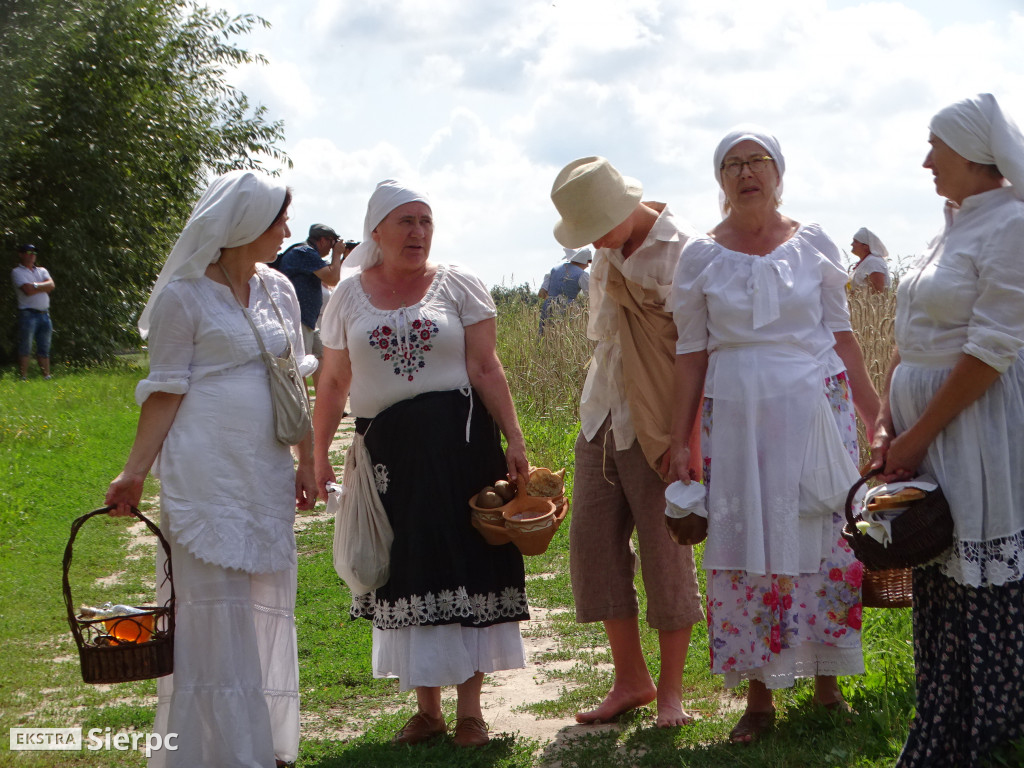 Żniwa w sierpeckim skansenie