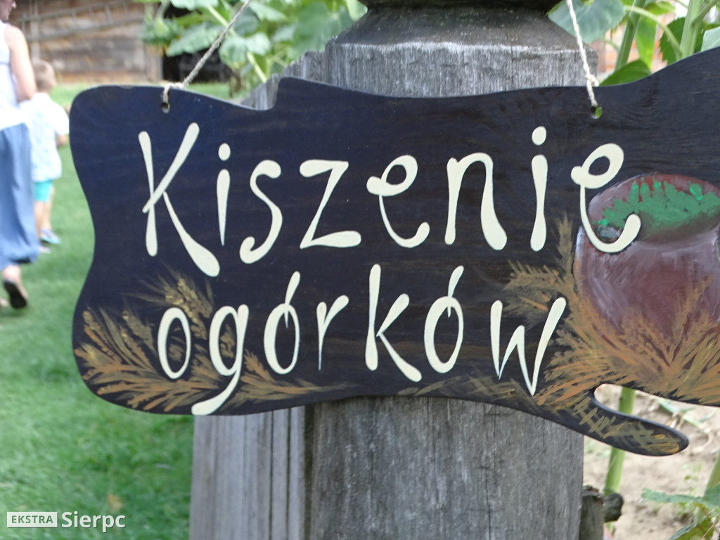 Żniwa w sierpeckim skansenie