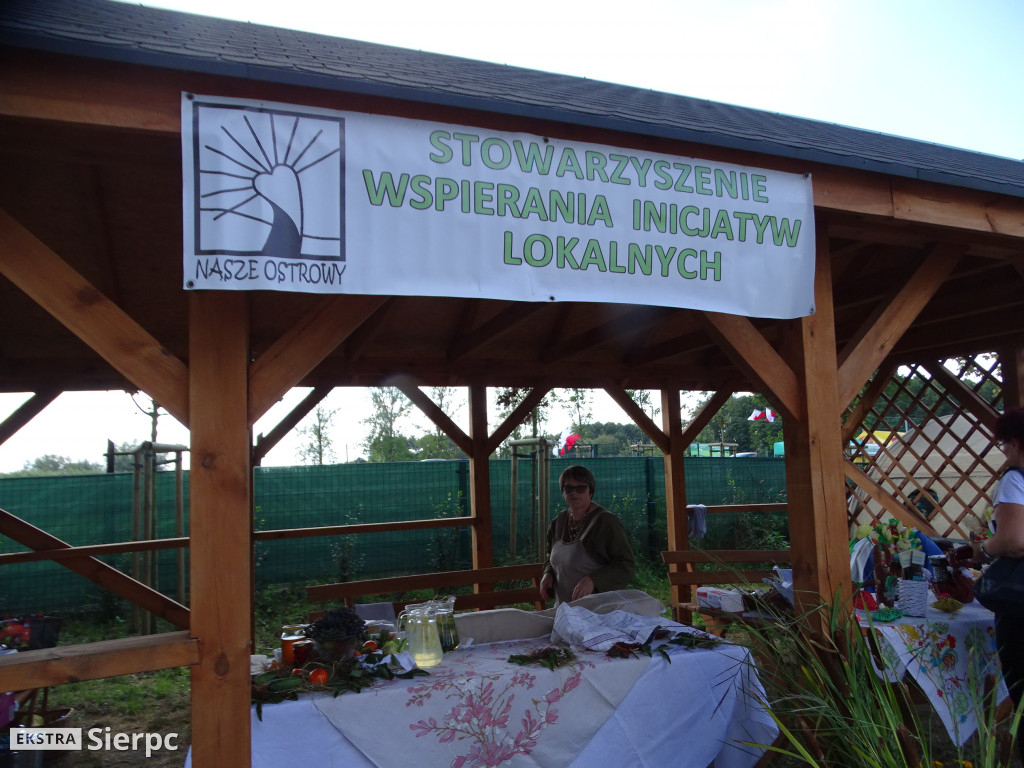 Dla Niepodległej w Gozdowie