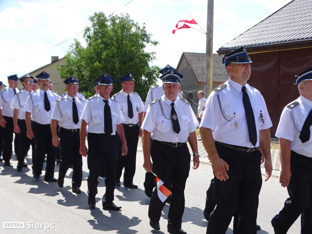 Dla Niepodległej w Gozdowie