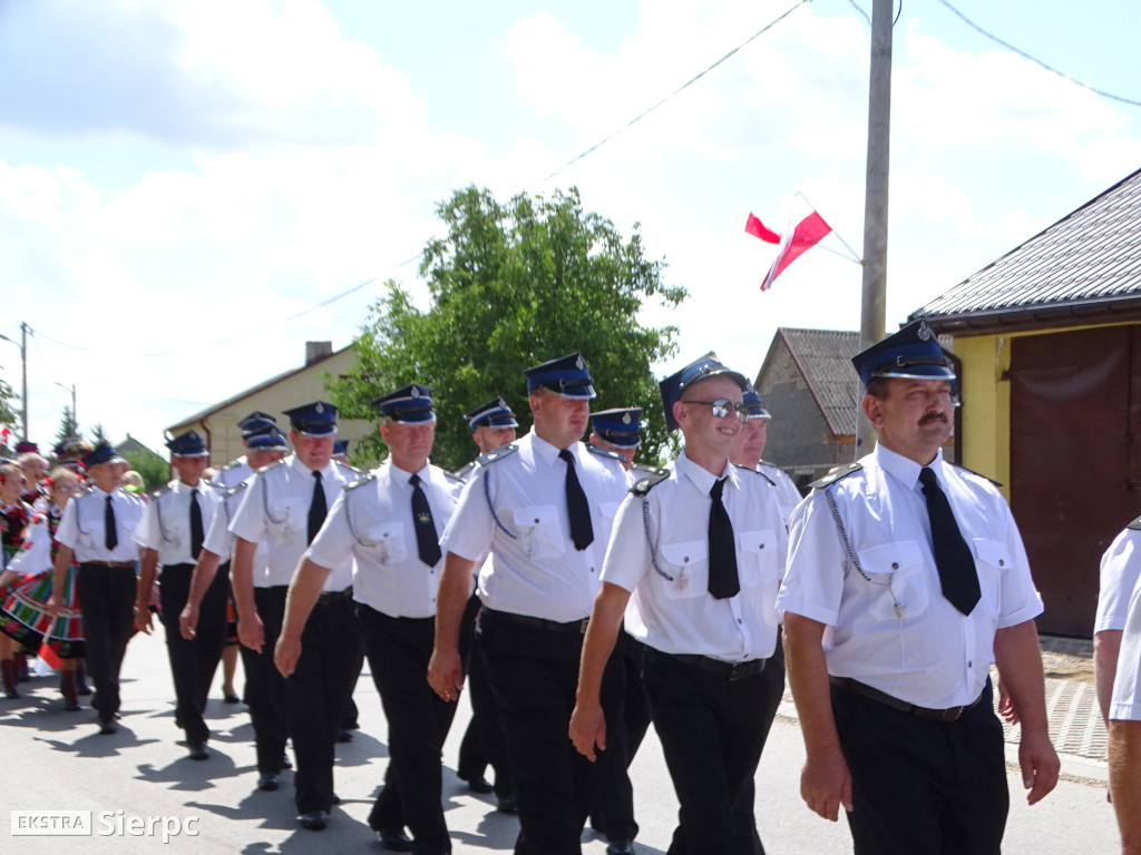 Dla Niepodległej w Gozdowie