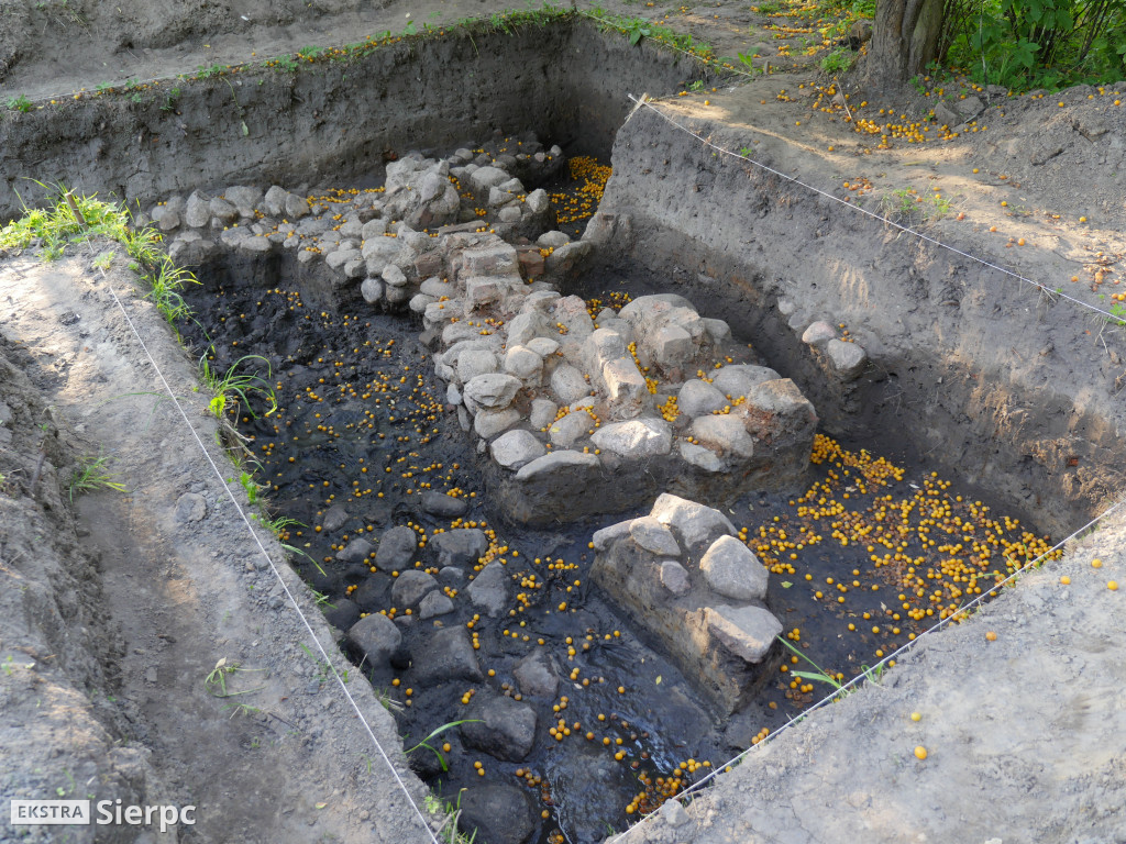Archeolodzy i sierpecki zamek