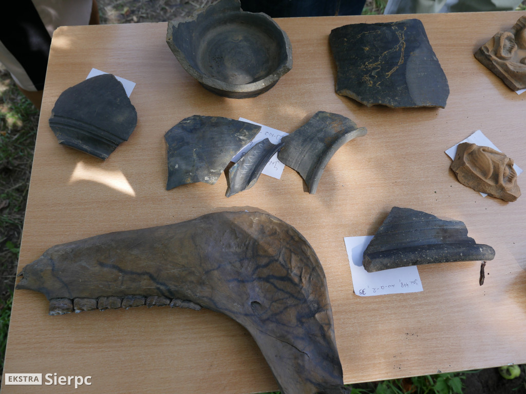 Archeolodzy i sierpecki zamek