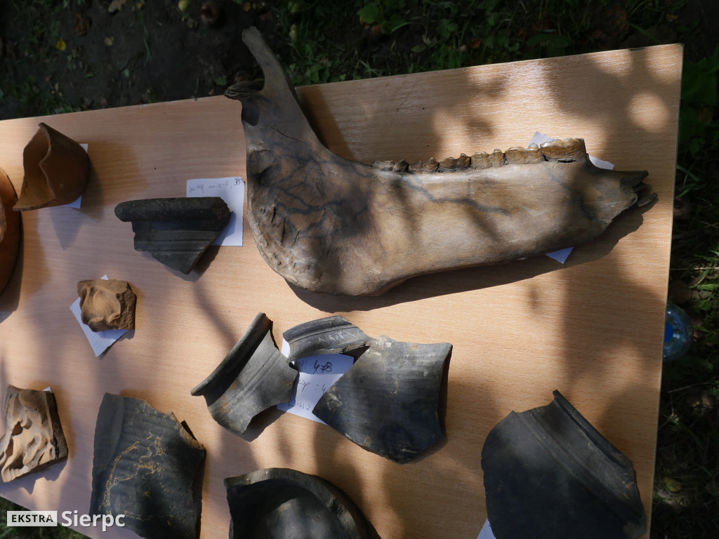 Archeolodzy i sierpecki zamek