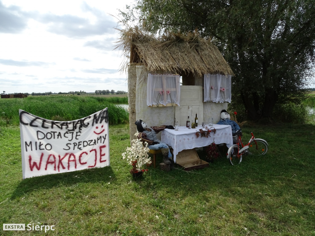 Witacze