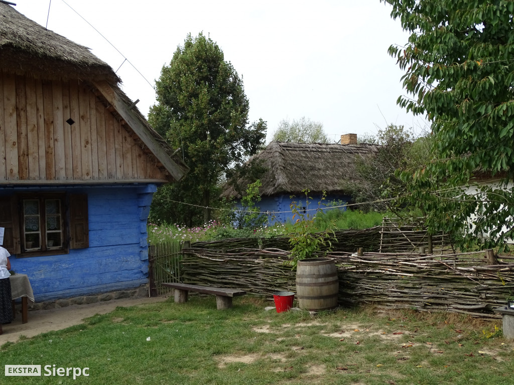 Wykopki w skansenie