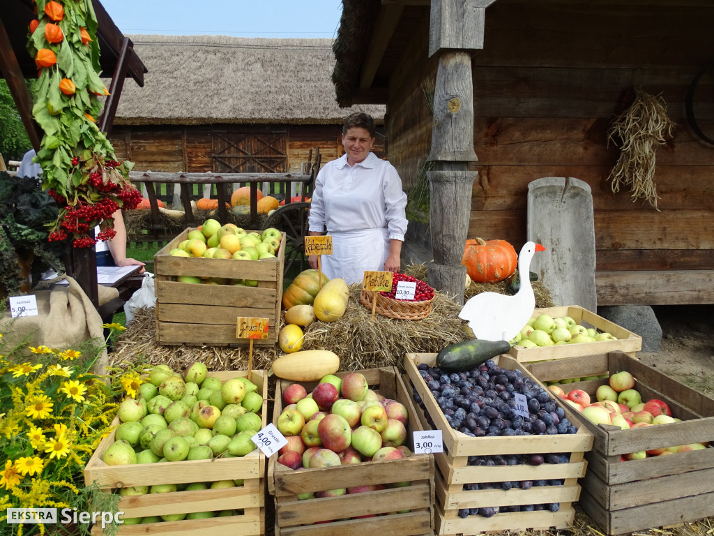 Wykopki w skansenie