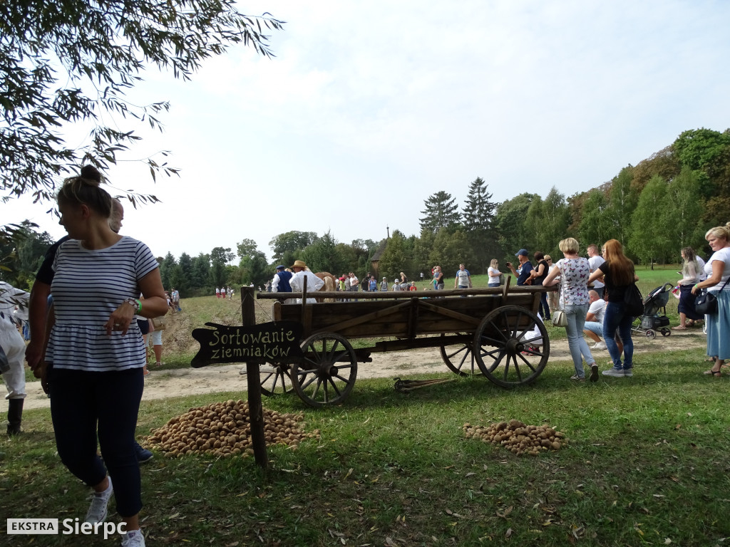 Wykopki w skansenie