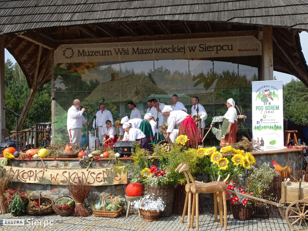 Wykopki w skansenie