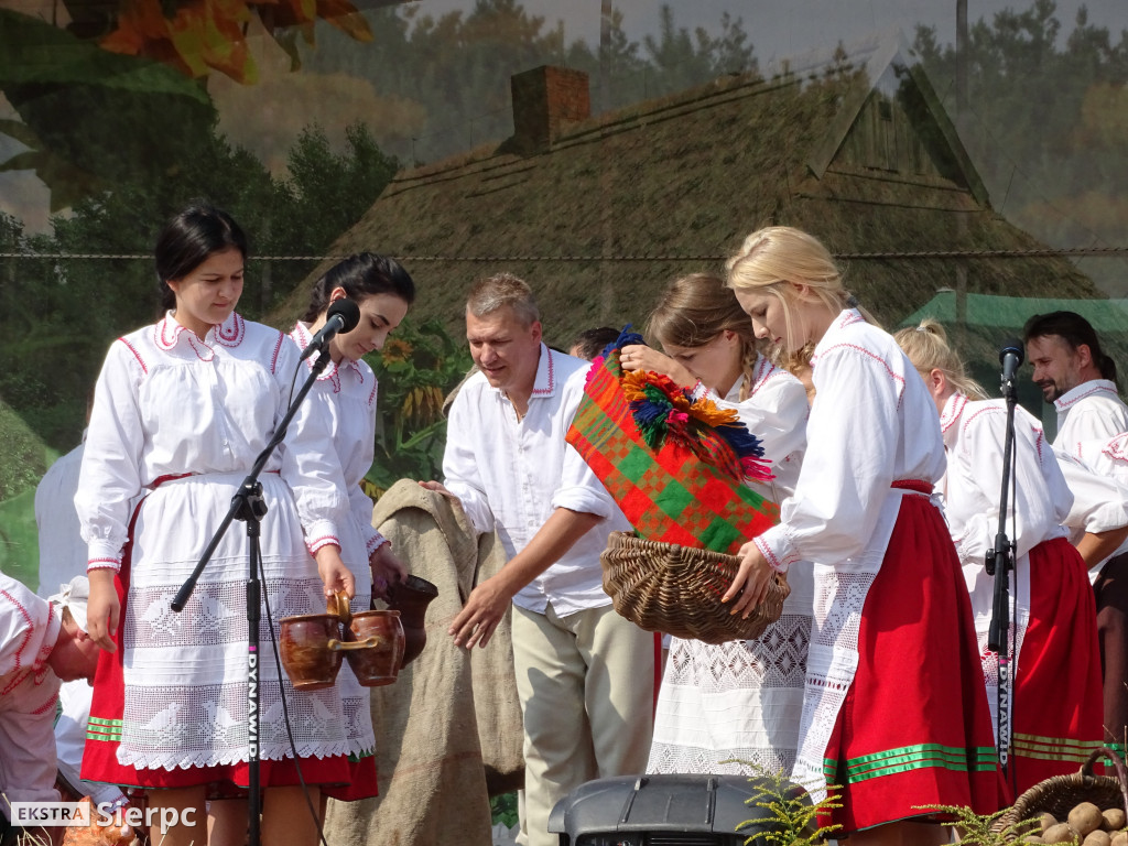 Wykopki w skansenie