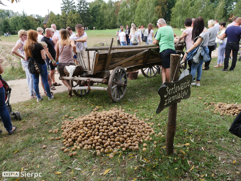 Wykopki w skansenie